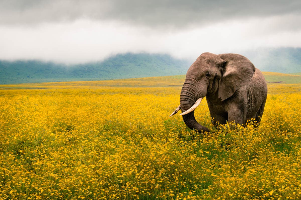 Lightroom after example 1 by Daniel Bilsborough