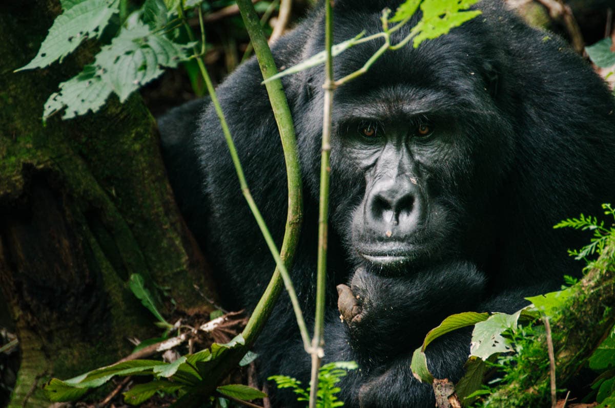 Lightroom after example 2 by Daniel Bilsborough