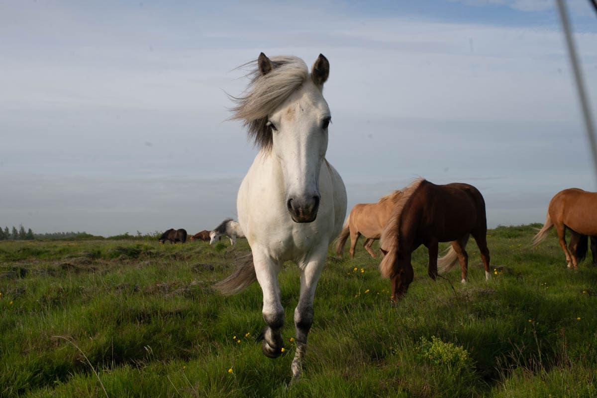 Lightroom before example 10 by Daniel Bilsborough