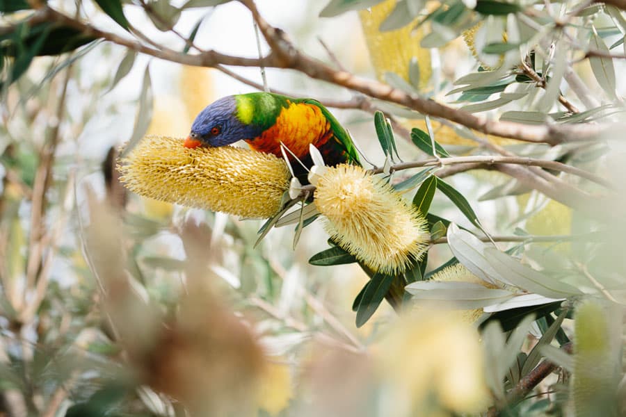 Sydney photography by Daniel Bilsborough