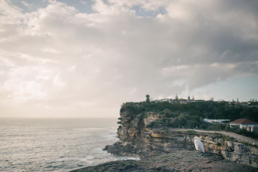 Sydney photography by Daniel Bilsborough