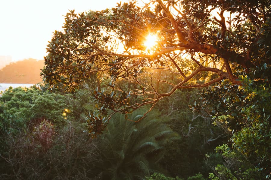 Sydney photography by Daniel Bilsborough