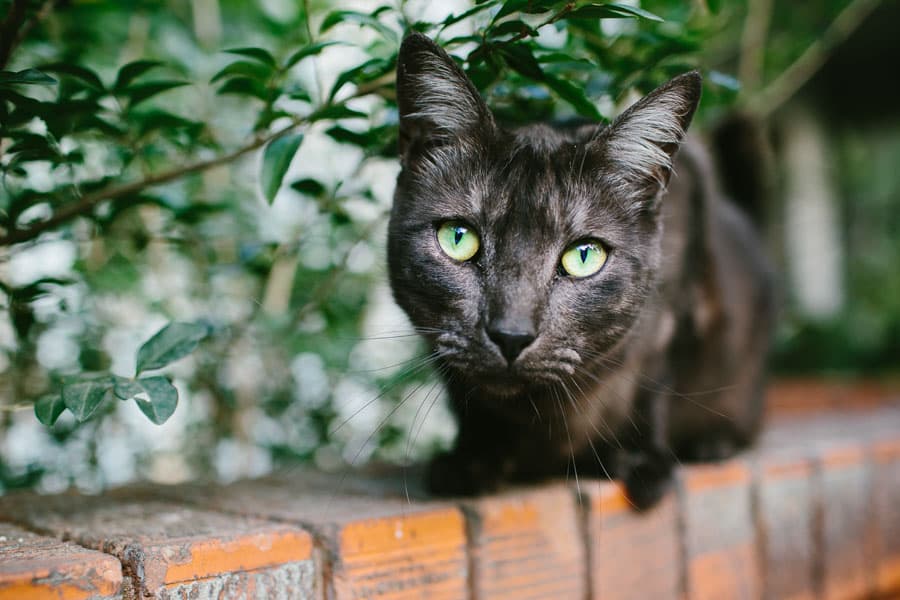Sydney photography by Daniel Bilsborough