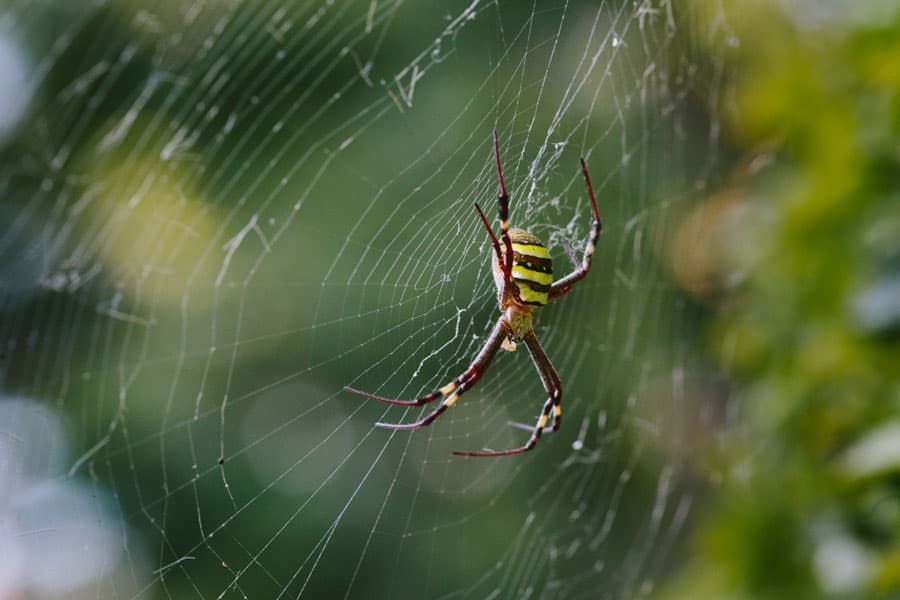 Sydney photography by Daniel Bilsborough