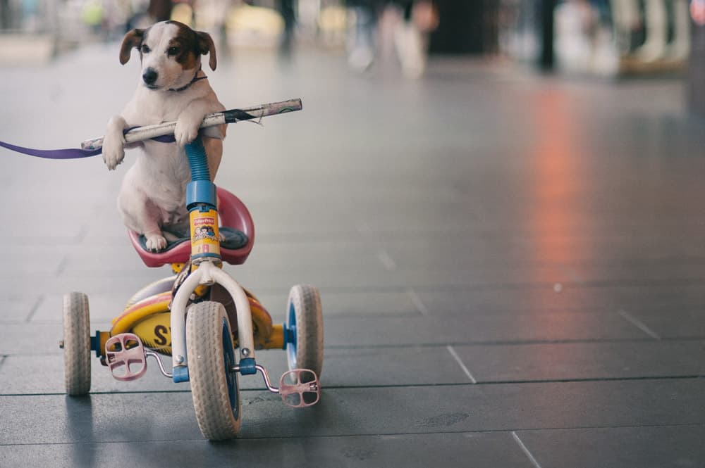 Street photography in Melbourne CBD laneways during a guided photography walk