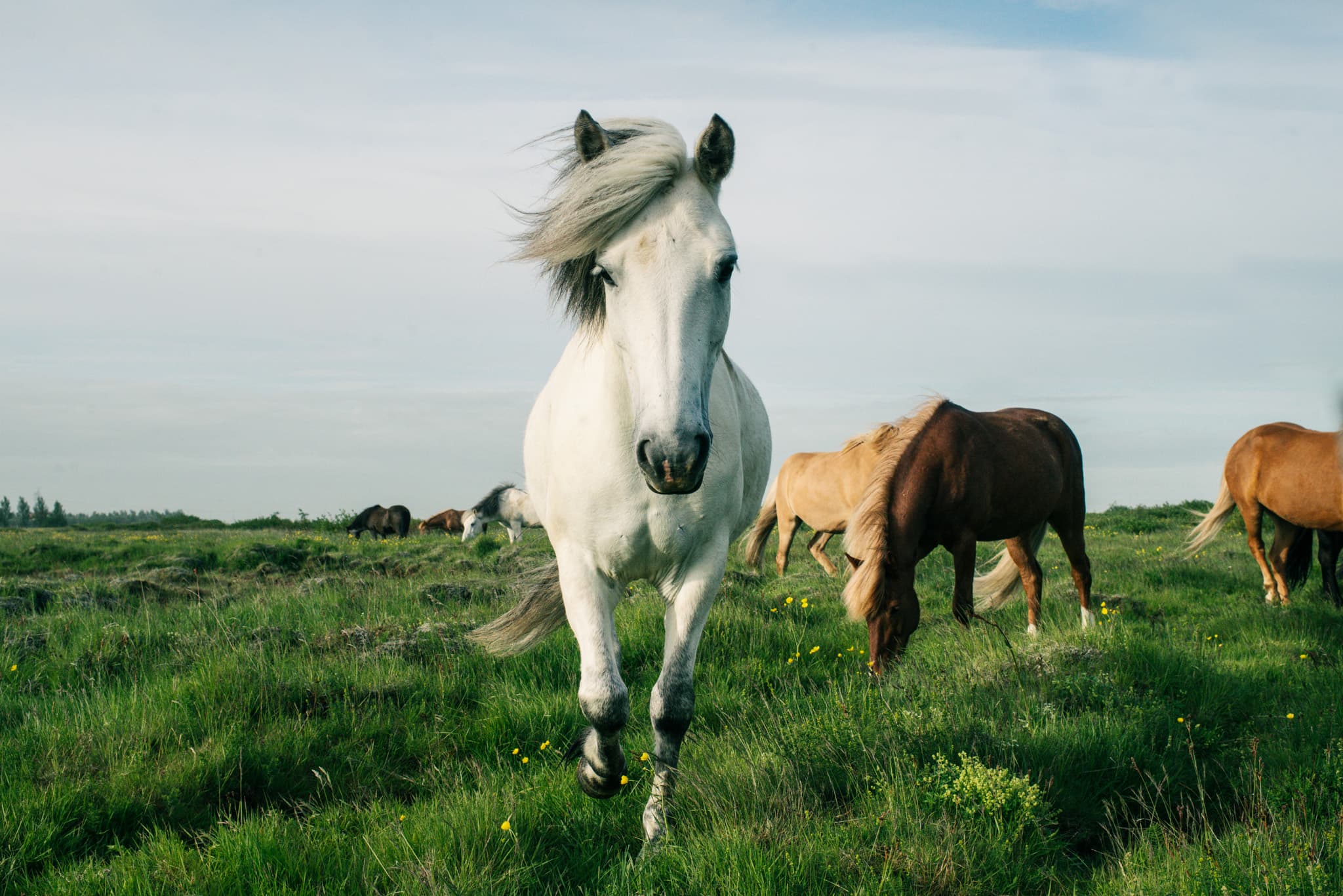 Travel photography by Daniel Bilsborough