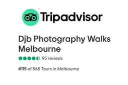 TripAdvisor reviews