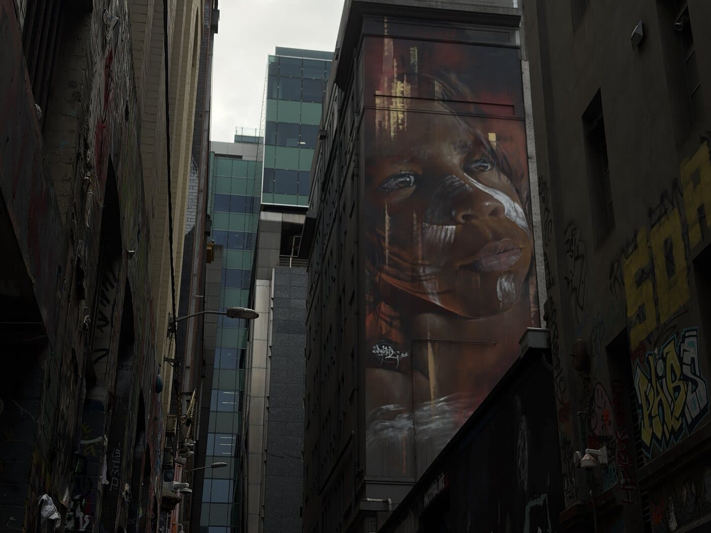 Large portrait mural high on a building wall seen from a narrow Melbourne laneway during a street photography course